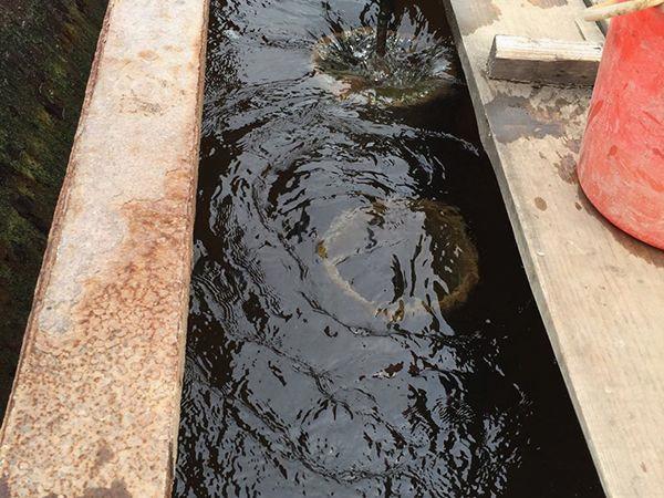 平流式氣浮機車間制作現(xiàn)場