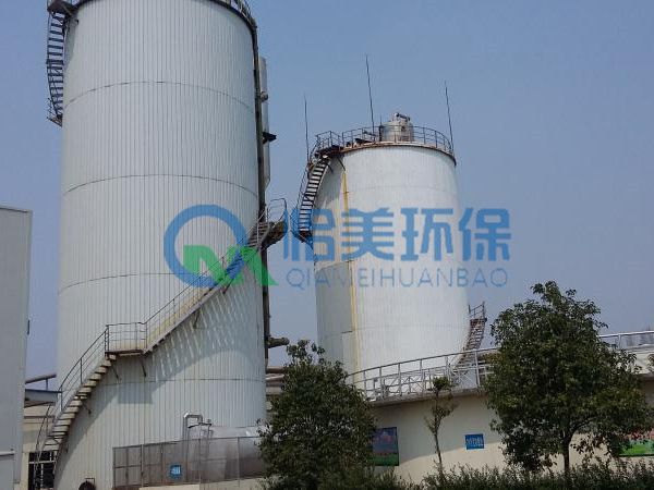 EGSB厭氧反應(yīng)器